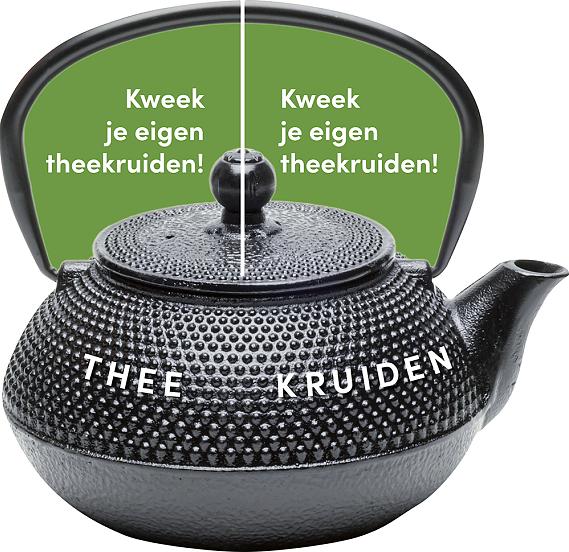 carrousel 2025 Nederlands - groene pot 4,95 per stuk - 5 stuks 19,95