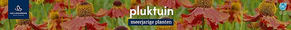 tafelbanner 2025 Nederlands - pluktuin