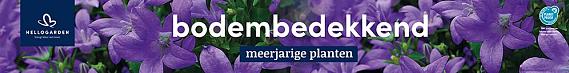 tafelbanner 2025 Nederlands - <strong>bodembedekkend</strong>