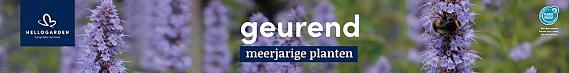 tafelbanner 2025 Nederlands - <strong>geurend</strong>
