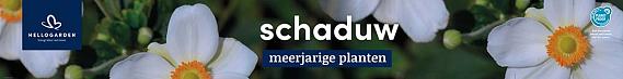 tafelbanner 2025 Nederlands - <strong>schaduw</strong>