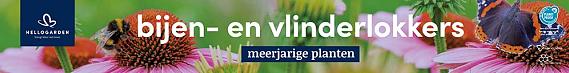 tafelbanner 2025 Nederlands - <strong>bijen- en vlinderlokkers</strong>