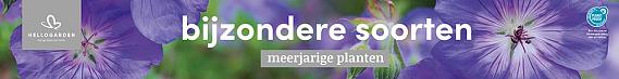 tafelbanner 2025 Nederlands - bijzondere soorten