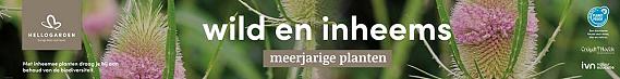 tafelbanner 2025 Nederlands - wild en inheems