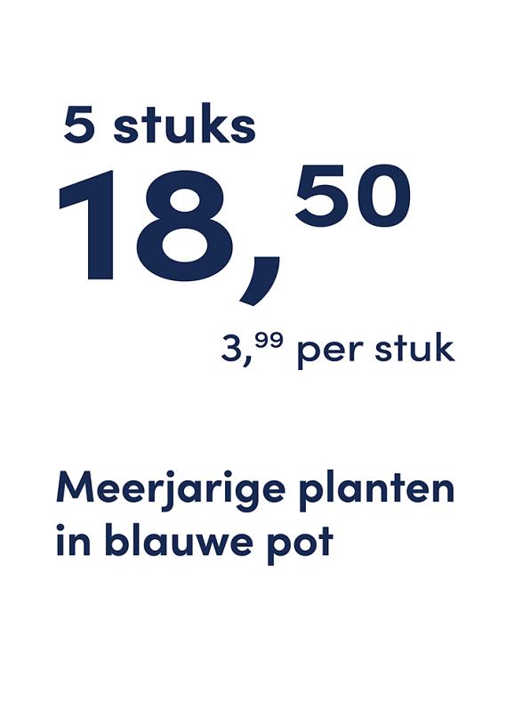 prijskaart 2025 Nederlands - <strong>blauwe pot 3,99 per stuk - 5 stuks 18,50</strong>