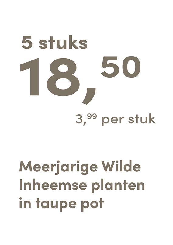 prijskaart 2025 Nederlands - <strong>taupe pot 3,99 per stuk - 5 stuks 18,50</strong>